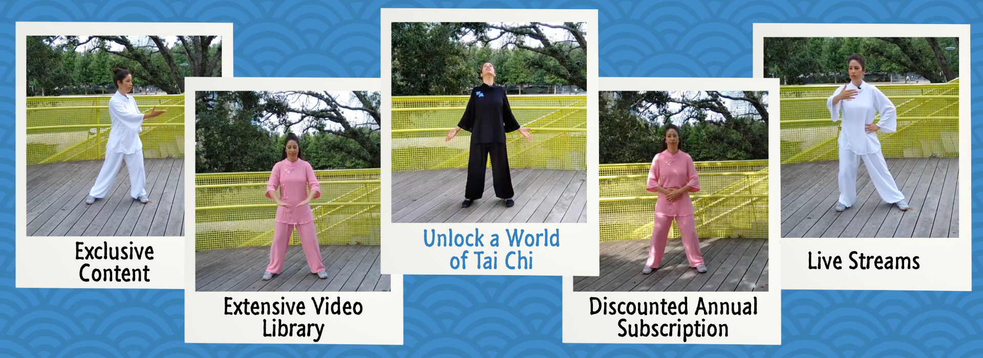 Tai Chi Videos