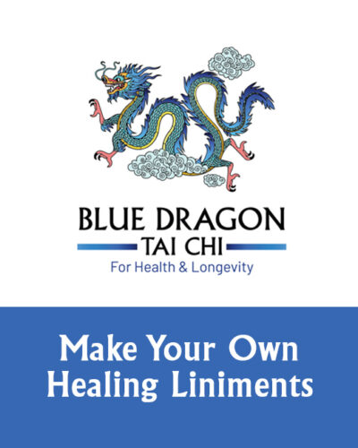 Download Liniment Workshop