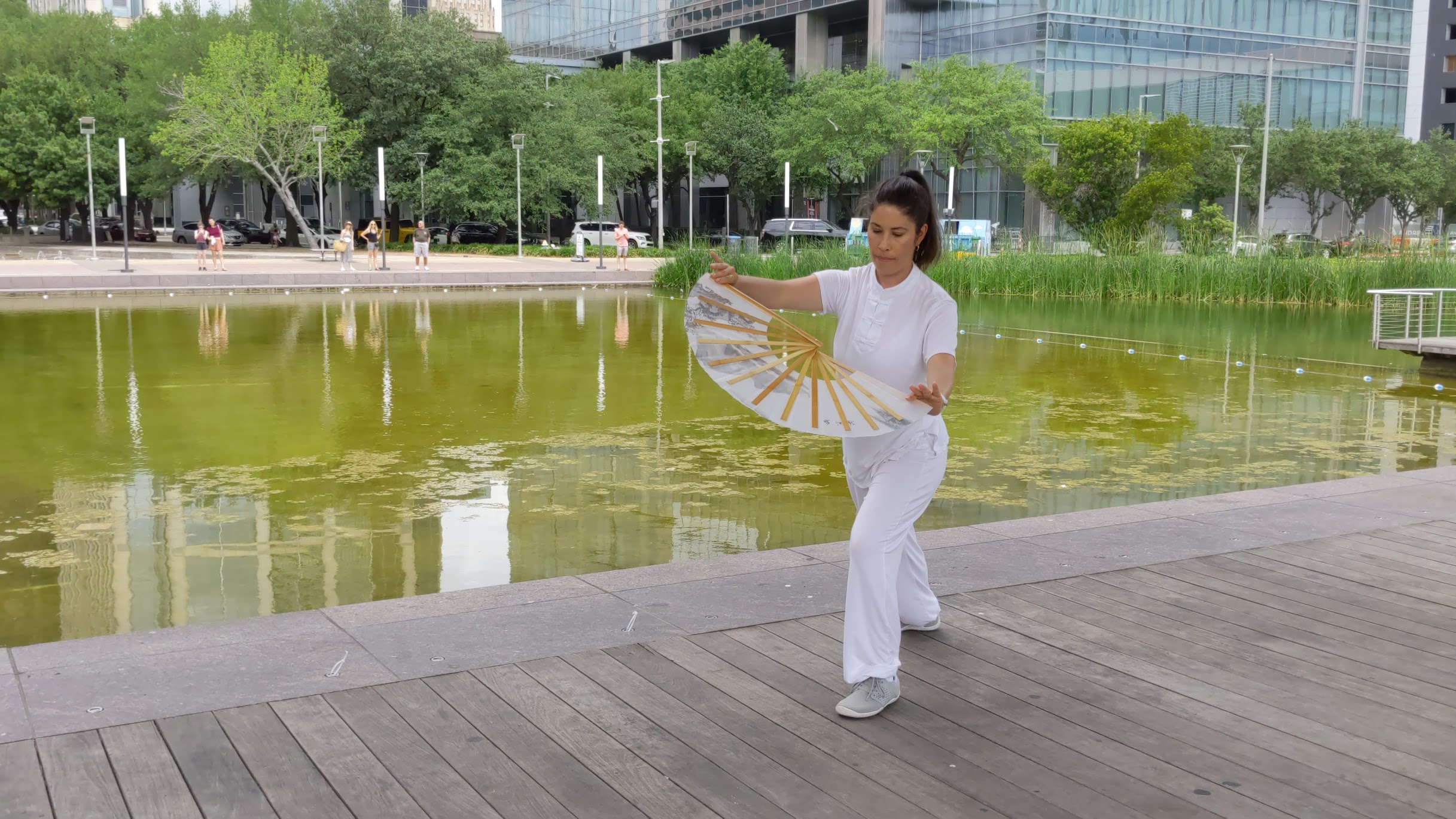 Internal Martial Arts