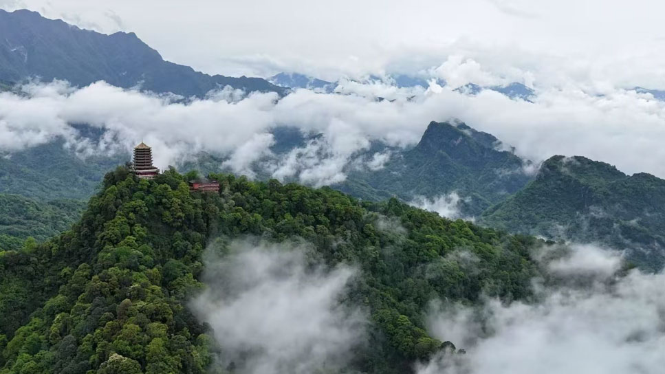 Arrival-at-the-Mountain_-First-Steps-Back-into-the-Tao-1