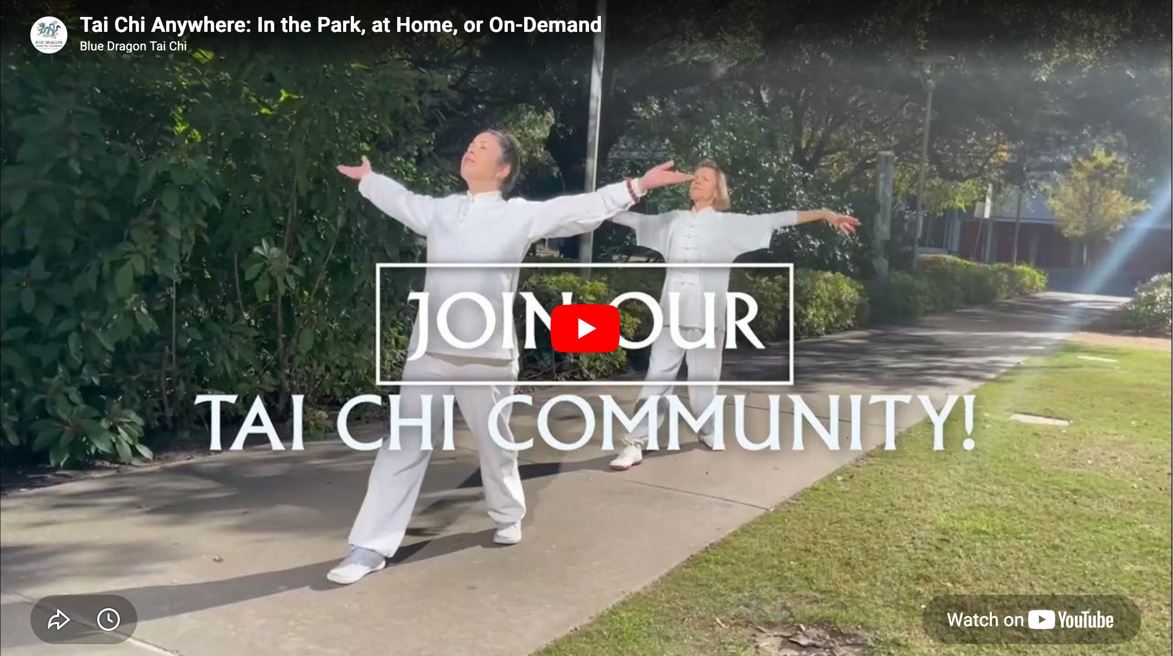 Screenshot 2026-07-01 at 09-46-06 Tai Chi Anywhere In the Park at Home or On-Demand – Blue Dragon Tai Chi